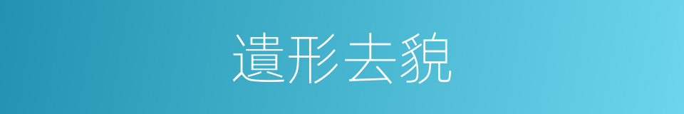 遺形去貌的意思