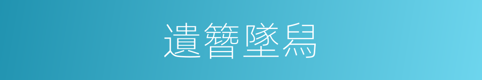 遺簪墜舄的意思