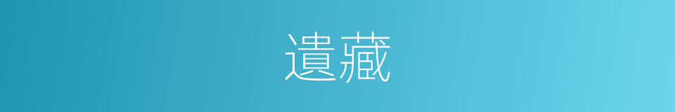 遺藏的意思