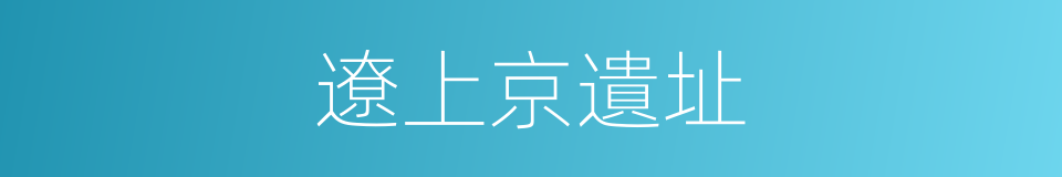 遼上京遺址的同義詞
