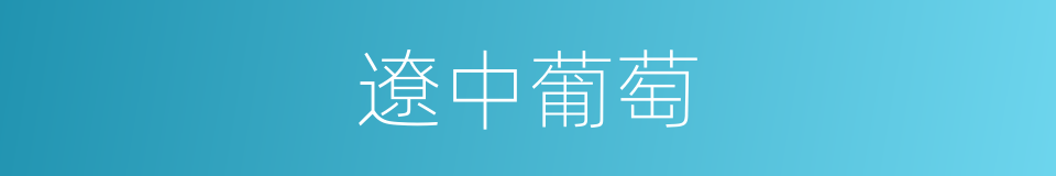 遼中葡萄的同義詞