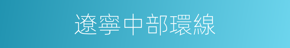 遼寧中部環線的同義詞