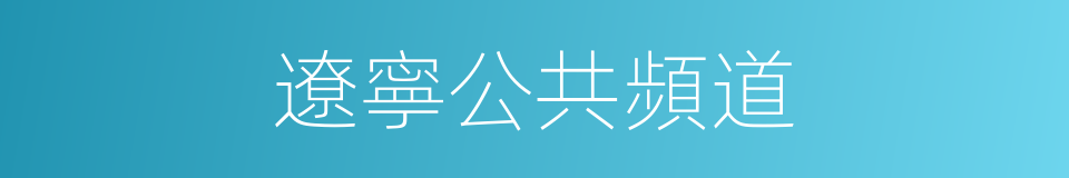 遼寧公共頻道的同義詞
