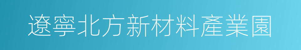 遼寧北方新材料產業園的同義詞