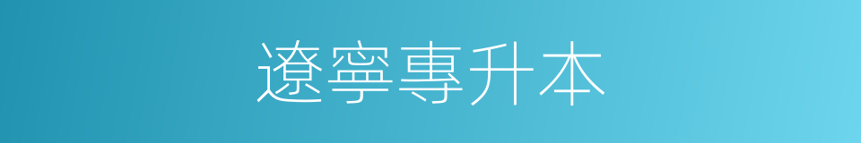 遼寧專升本的同義詞