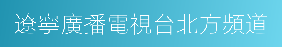 遼寧廣播電視台北方頻道的同義詞