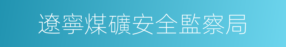 遼寧煤礦安全監察局的同義詞