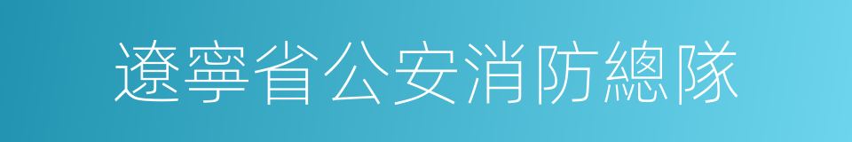 遼寧省公安消防總隊的同義詞