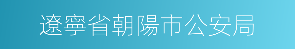 遼寧省朝陽市公安局的同義詞