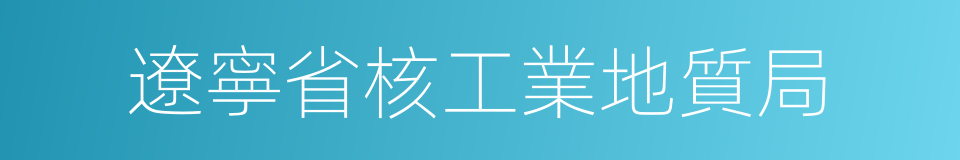 遼寧省核工業地質局的同義詞