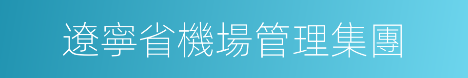 遼寧省機場管理集團的同義詞