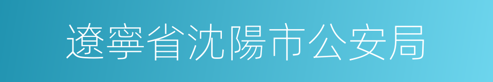 遼寧省沈陽市公安局的同義詞