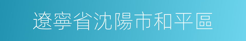 遼寧省沈陽市和平區的同義詞