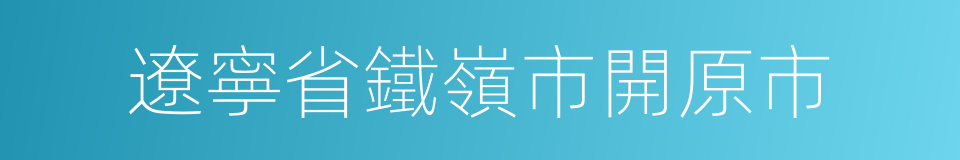 遼寧省鐵嶺市開原市的同義詞