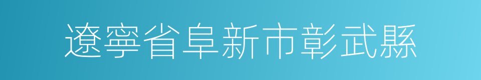 遼寧省阜新市彰武縣的同義詞