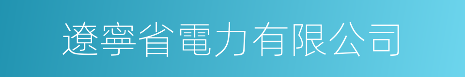 遼寧省電力有限公司的同義詞