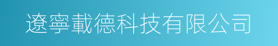 遼寧載德科技有限公司的同義詞