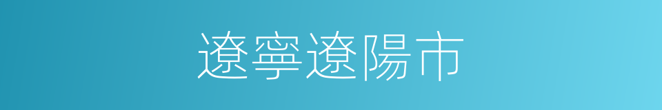 遼寧遼陽市的同義詞