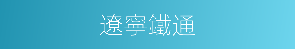 遼寧鐵通的同義詞