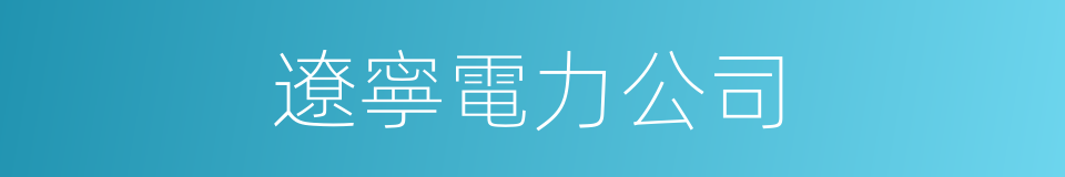 遼寧電力公司的同義詞
