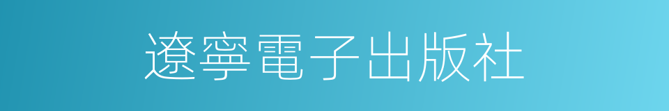 遼寧電子出版社的同義詞
