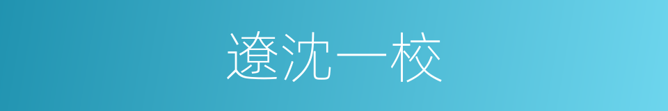 遼沈一校的同義詞