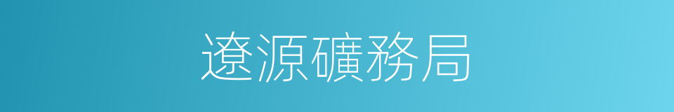 遼源礦務局的同義詞