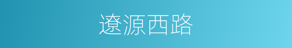 遼源西路的同義詞