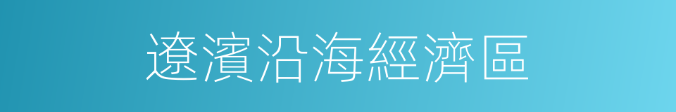 遼濱沿海經濟區的同義詞