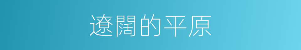 遼闊的平原的同義詞