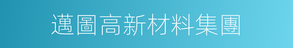 邁圖高新材料集團的同義詞