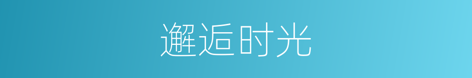 邂逅时光的同义词