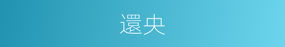 還央的同義詞