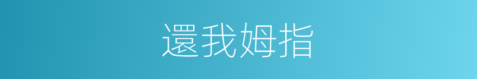 還我姆指的同義詞