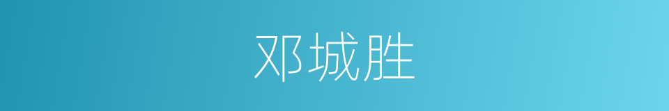 邓城胜的同义词