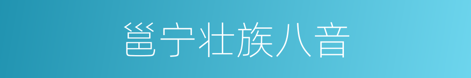 邕宁壮族八音的同义词