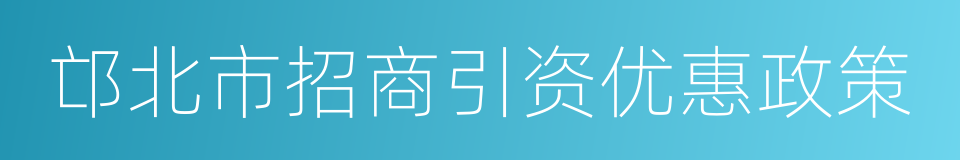 邙北市招商引资优惠政策的同义词