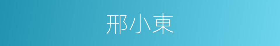 邢小東的同義詞