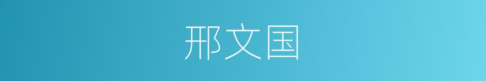 邢文国的同义词