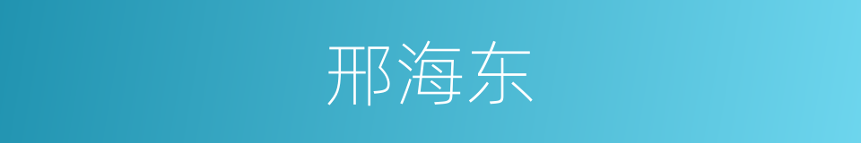 邢海东的同义词