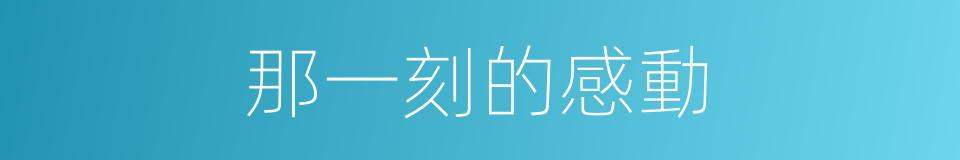 那一刻的感動的同義詞