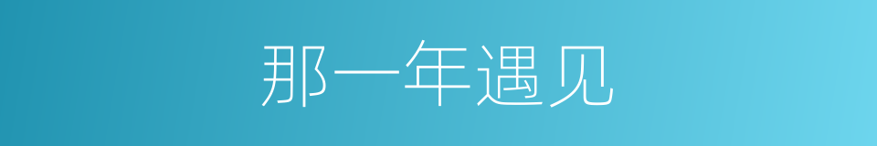 那一年遇见的同义词