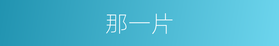那一片的同义词
