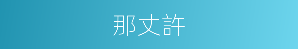 那丈許的同義詞