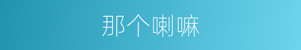 那个喇嘛的同义词