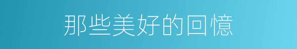 那些美好的回憶的同義詞
