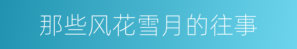 那些风花雪月的往事的同义词