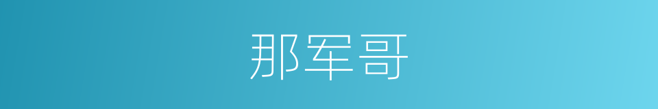 那军哥的同义词