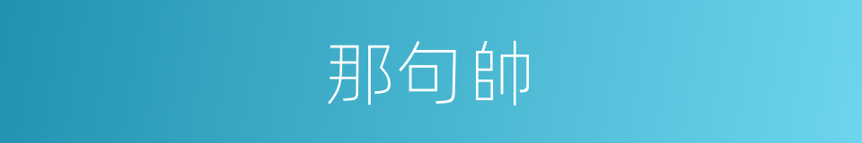 那句帥的同義詞