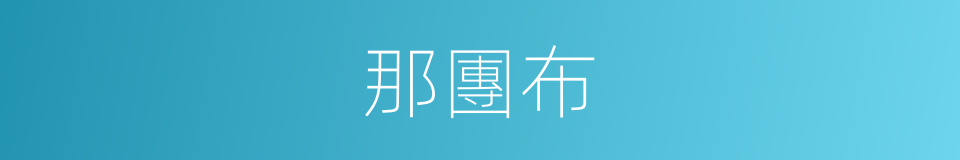 那團布的同義詞